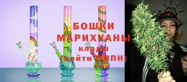 тгк Рославль