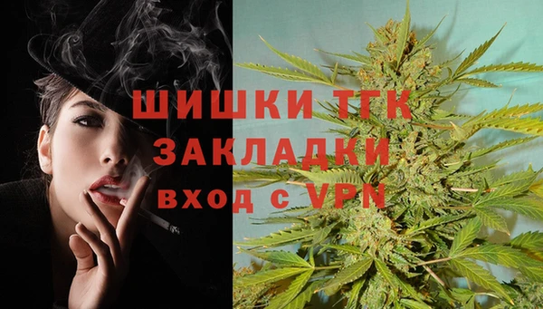 тгк Ростов