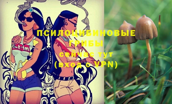 тгк Ростов