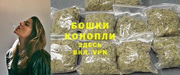 тгк Рославль