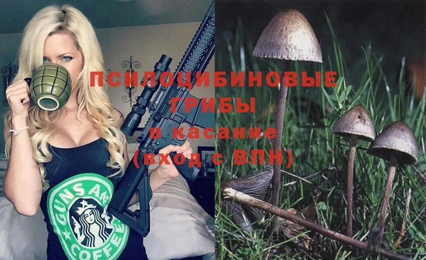 тгк Рославль