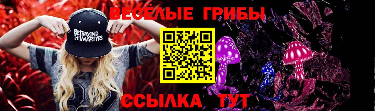 Галлюциногенные грибы GOLDEN TEACHER  Вход с VPN  Сланцы 