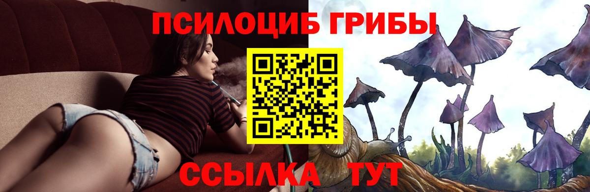 Псилоцибиновые грибы MAGIC MUSHROOMS Сланцы